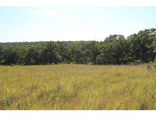 Property photo 42 - LAND AUCTION - 440+/- ACRES OFFERED IN 17 TRACTS IN OSAGE CO., OKLAHOMA
